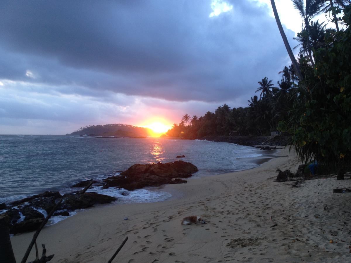 Hotel Mirissa Seastar Extérieur photo